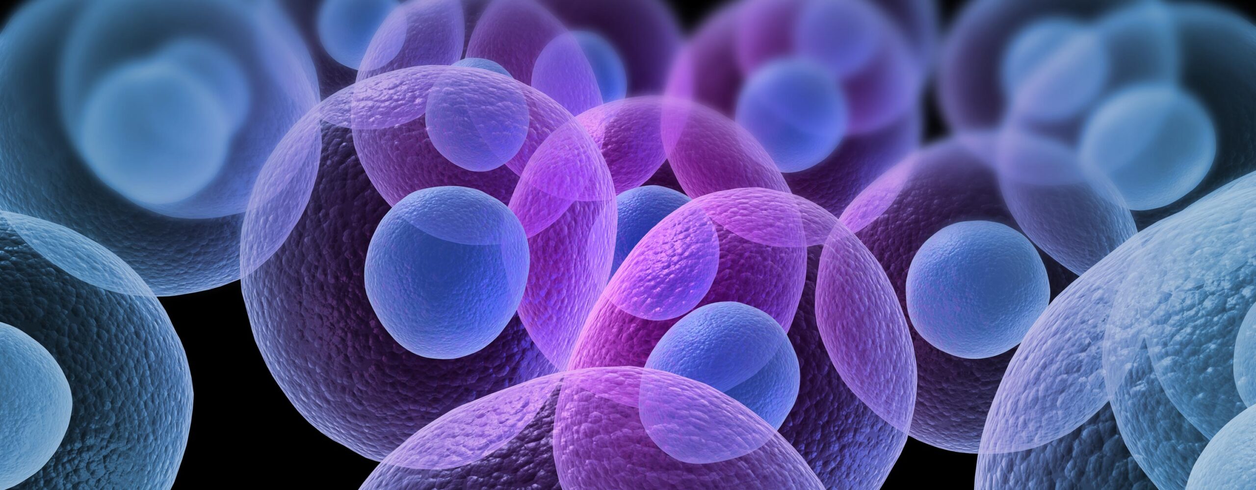 Biotech Law Center – Life Sciences Law